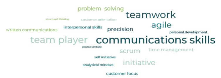 Word Cloud Soft and other skills for developers